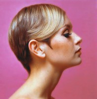 Twiggy photo #