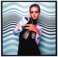 Twiggy photo #