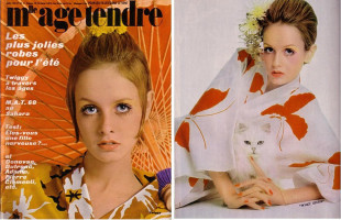 Twiggy photo #