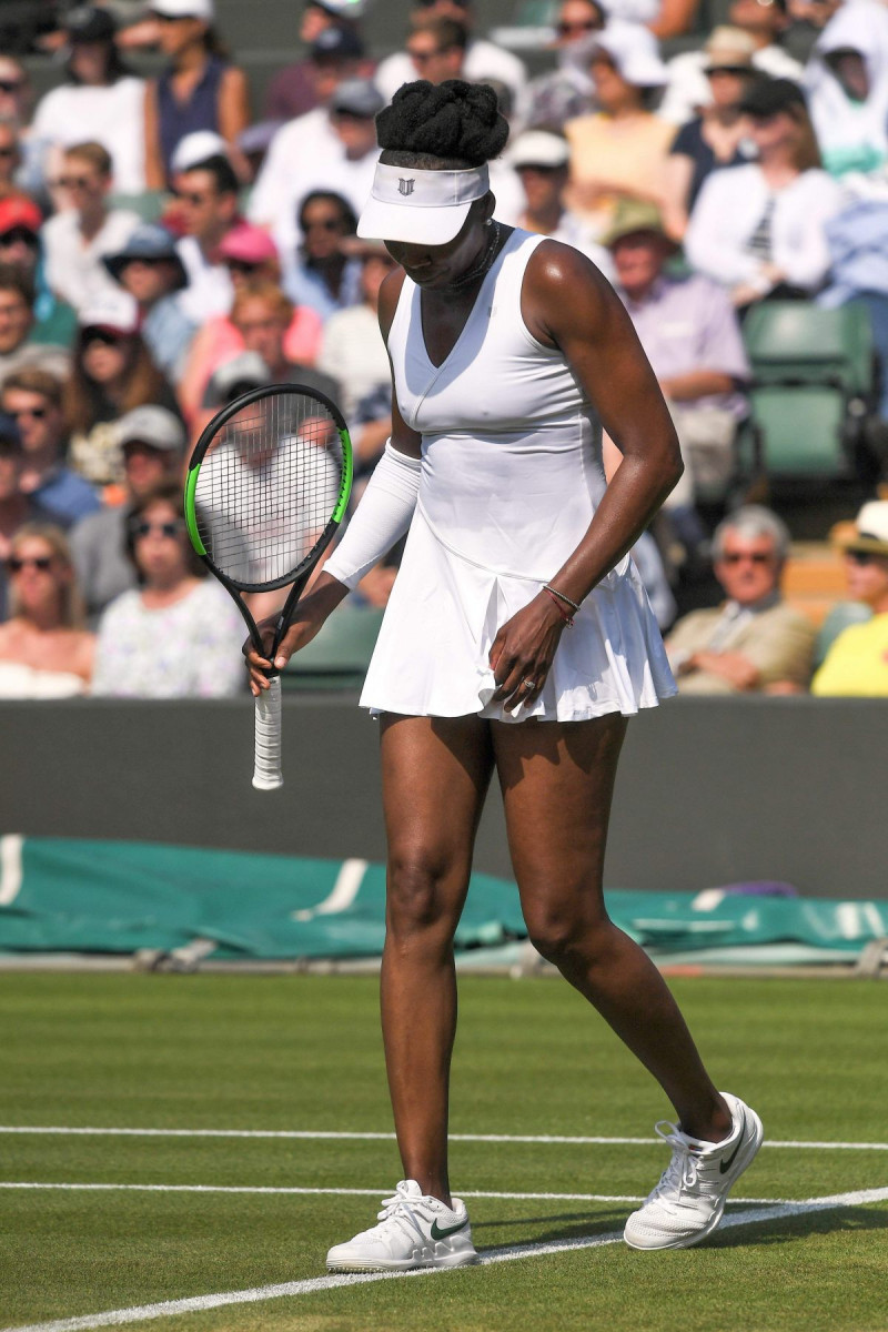 Venus Williams: pic #1049660