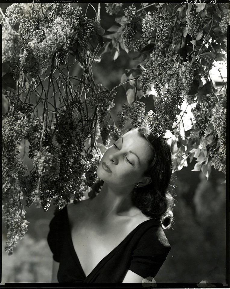 Vivien Leigh: pic #194828