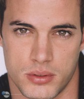 photo 8 in William Levy gallery [id538010] 2012-09-29