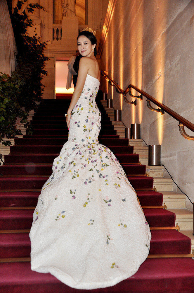 Ziyi Zhang: pic #623437