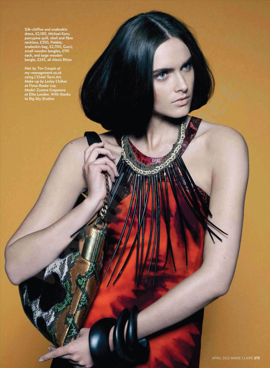 Zuzana Gregorova: pic #459823
