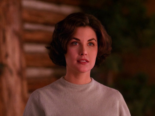 Sherilyn Fenn