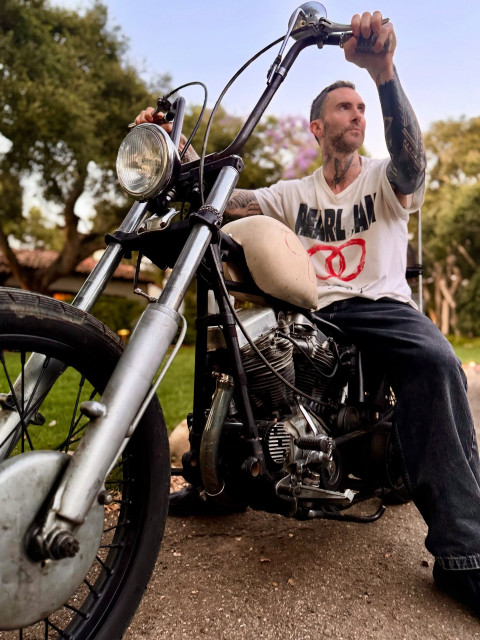 Adam Levine instagram post 493037