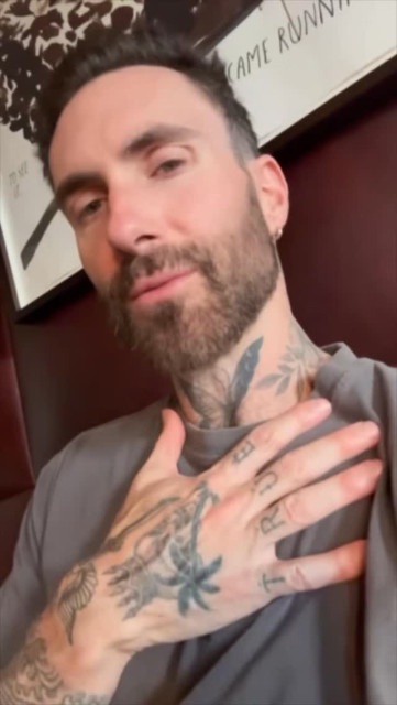 Adam Levine instagram post 494413