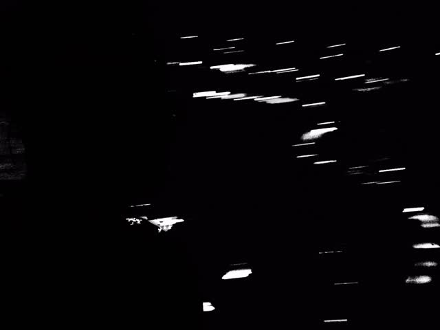 Adam Levine instagram post 496833