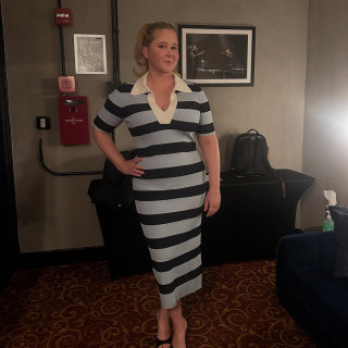 Amy Schumer instagram pic #487249