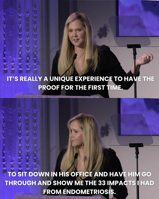 Amy Schumer instagram post 494718