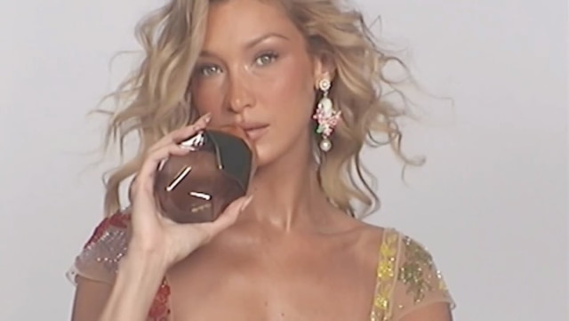 Bella Hadid instagram post 497241