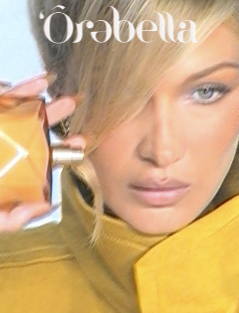 Bella Hadid instagram post 497337