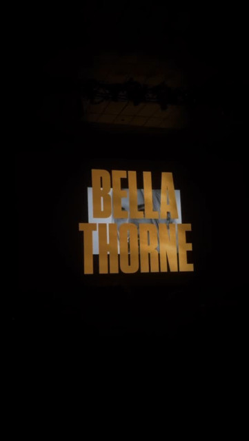Bella Thorne instagram post 492190