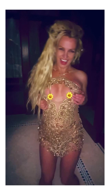 Britney Spears instagram post 494353