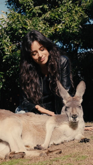 Camila Cabello instagram post 495878