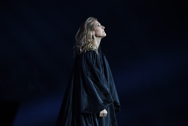 Celine Dion instagram post 493788
