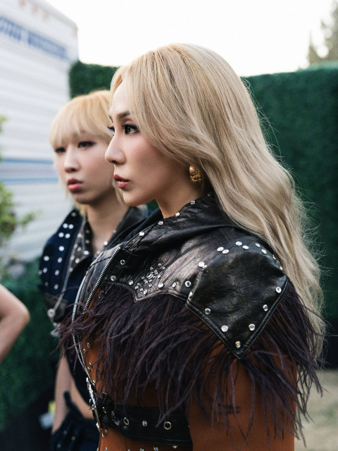 CL         instagram post 491791