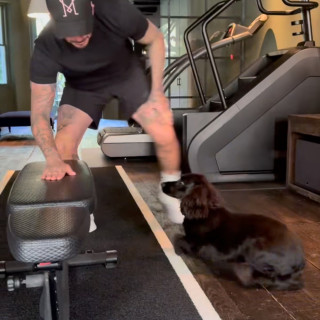 David Beckham instagram pic #490749