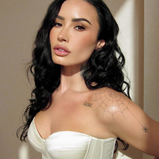 Demi Lovato instagram pic #491782