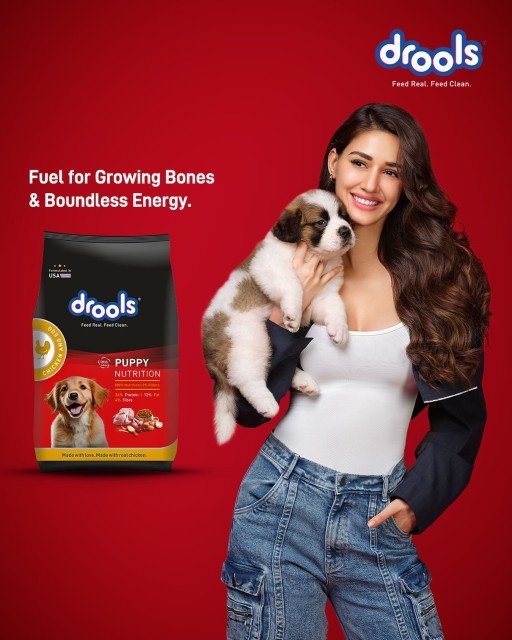 Disha Patani instagram post 494575