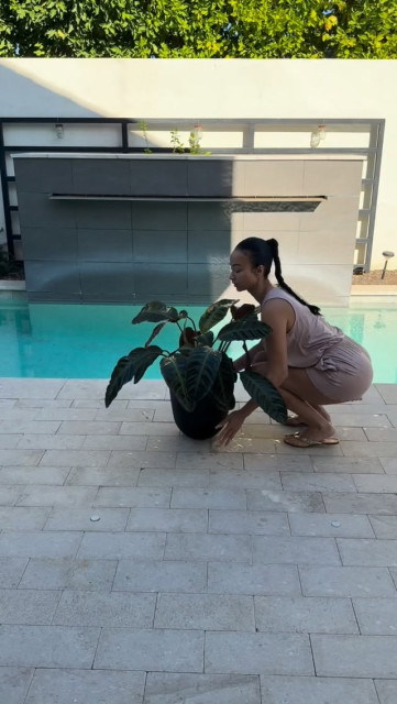 Draya Michele instagram post 497159