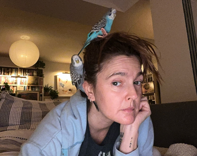 Drew Barrymore instagram post 497892