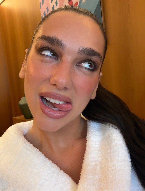 Dua Lipa instagram post 498649