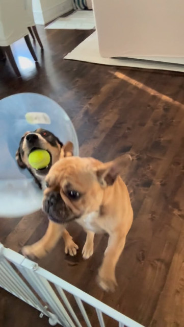 Dwayne Johnson instagram post 497677