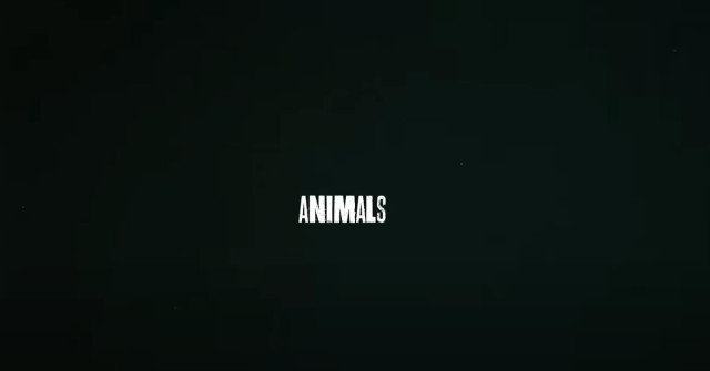 Eminem instagram post 493125