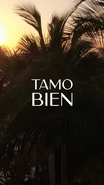 Enrique Iglesias instagram post 487031