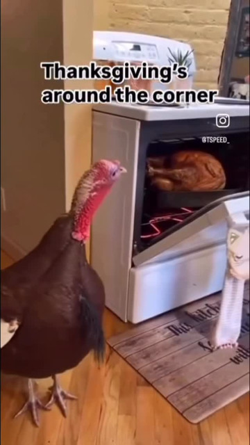 Jamie Foxx instagram post 497524