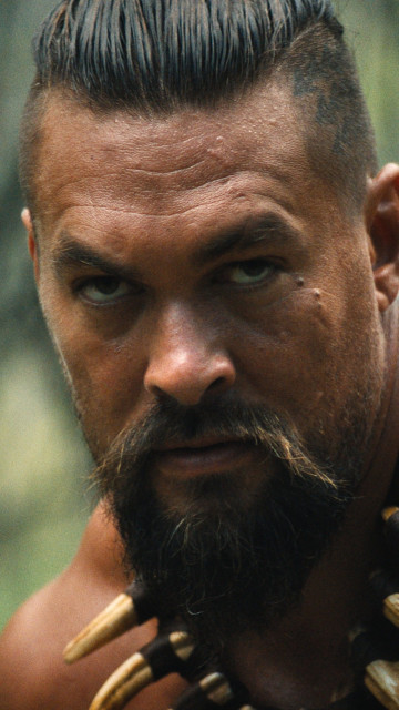Jason Mamoa instagram post 491035