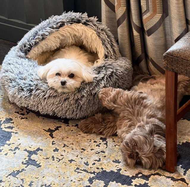 Jim Parsons instagram post 495472