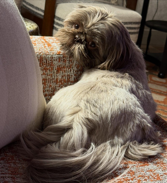 Jim Parsons instagram post 498252