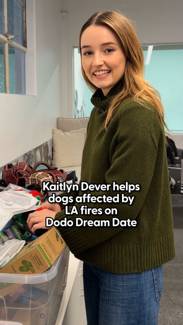 Kaitlyn Dever instagram post 485742