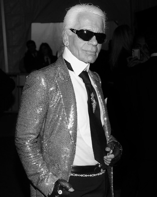 Karl Lagerfeld instagram post 497541