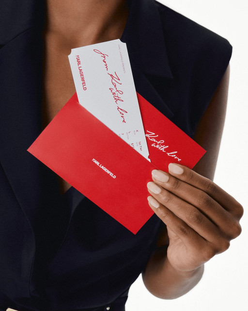 Karl Lagerfeld instagram post 498322