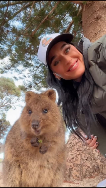 Katy Perry instagram post 498686