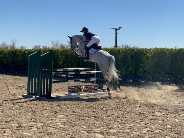 Kendall Jenner instagram post 497319