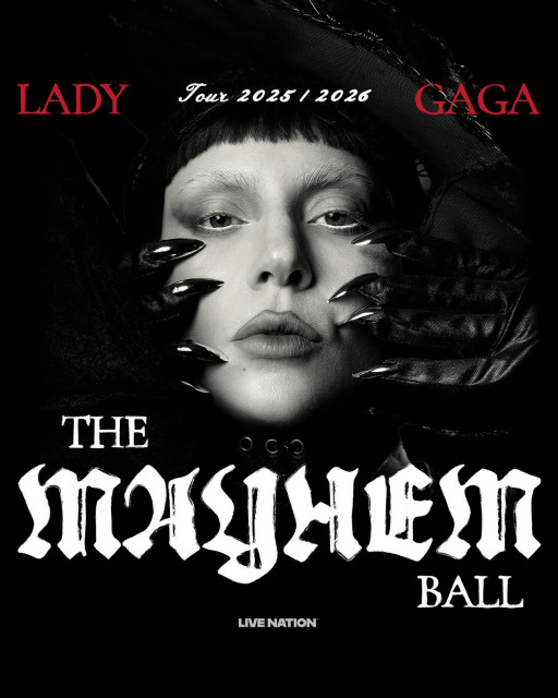 Lady Gaga instagram post 493255