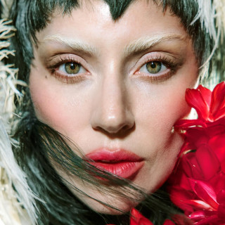 Lady Gaga instagram pic #497193