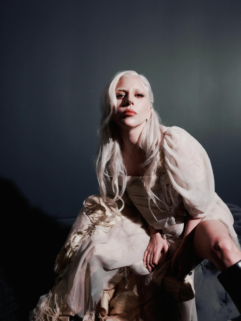 Lady Gaga instagram post 498478