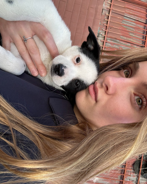 Lauren Orlando instagram post 481364