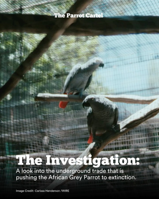 Leonardo DiCaprio instagram post 497401