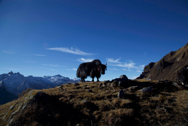 Leonardo DiCaprio instagram post 498215