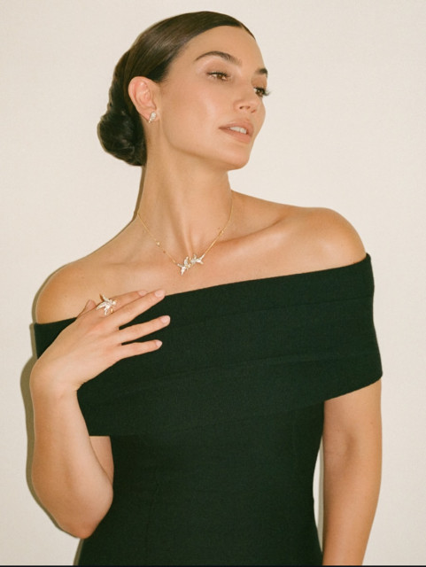 Lily Aldridge instagram post 495639
