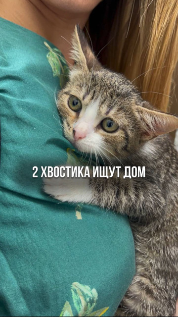 Liza Boyarskaya instagram post 468601