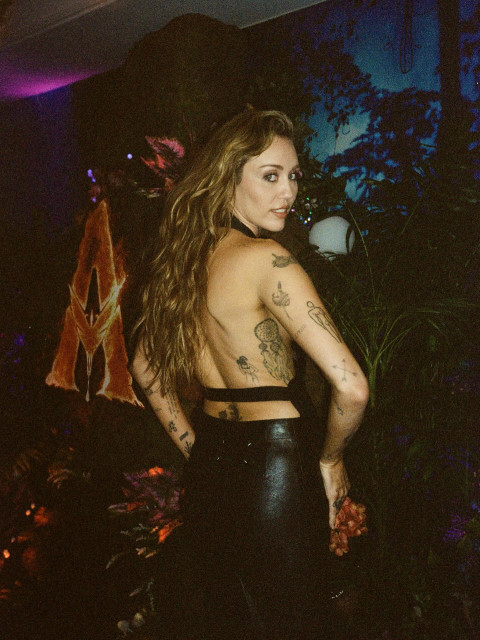 Miley Cyrus instagram post 497866