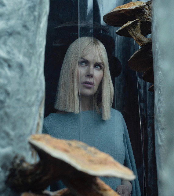 Nicole Kidman instagram post 492874