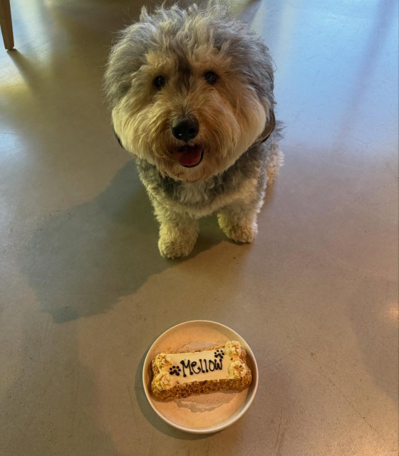 Noah Cyrus instagram post 496742